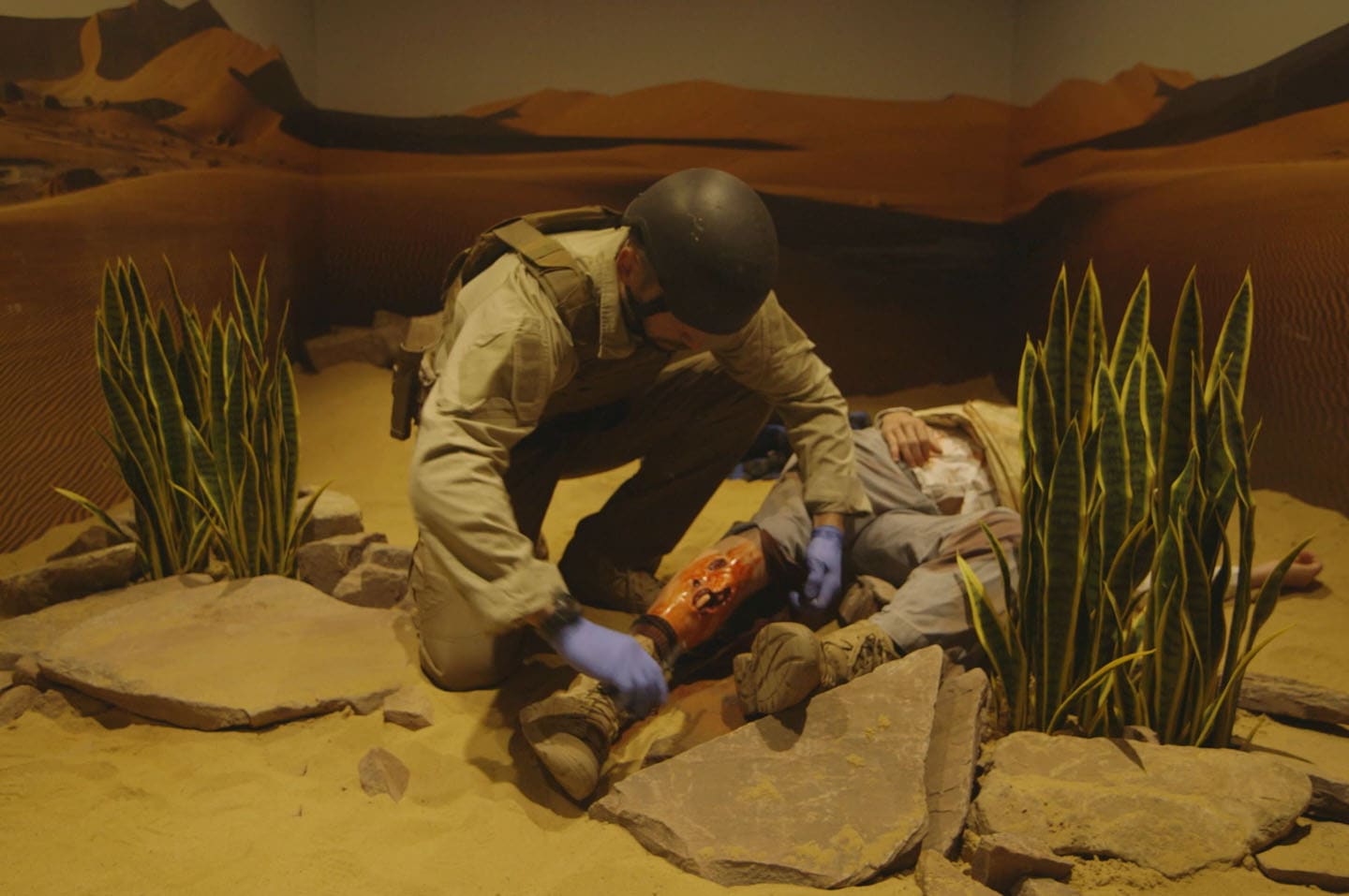 Desert Room